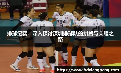 排球纪实：深入探讨深圳排球队的拼搏与荣耀之路